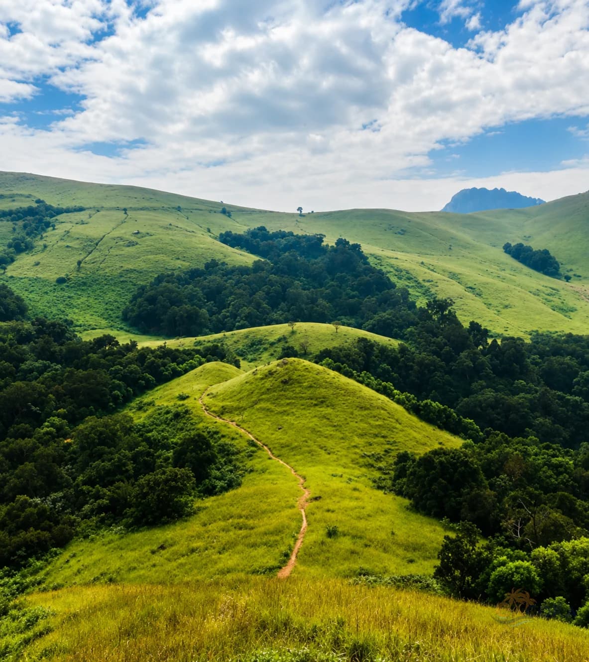  Day Trips from Udupi: Agumbe, Kollur, Maravanthe and the Ghats