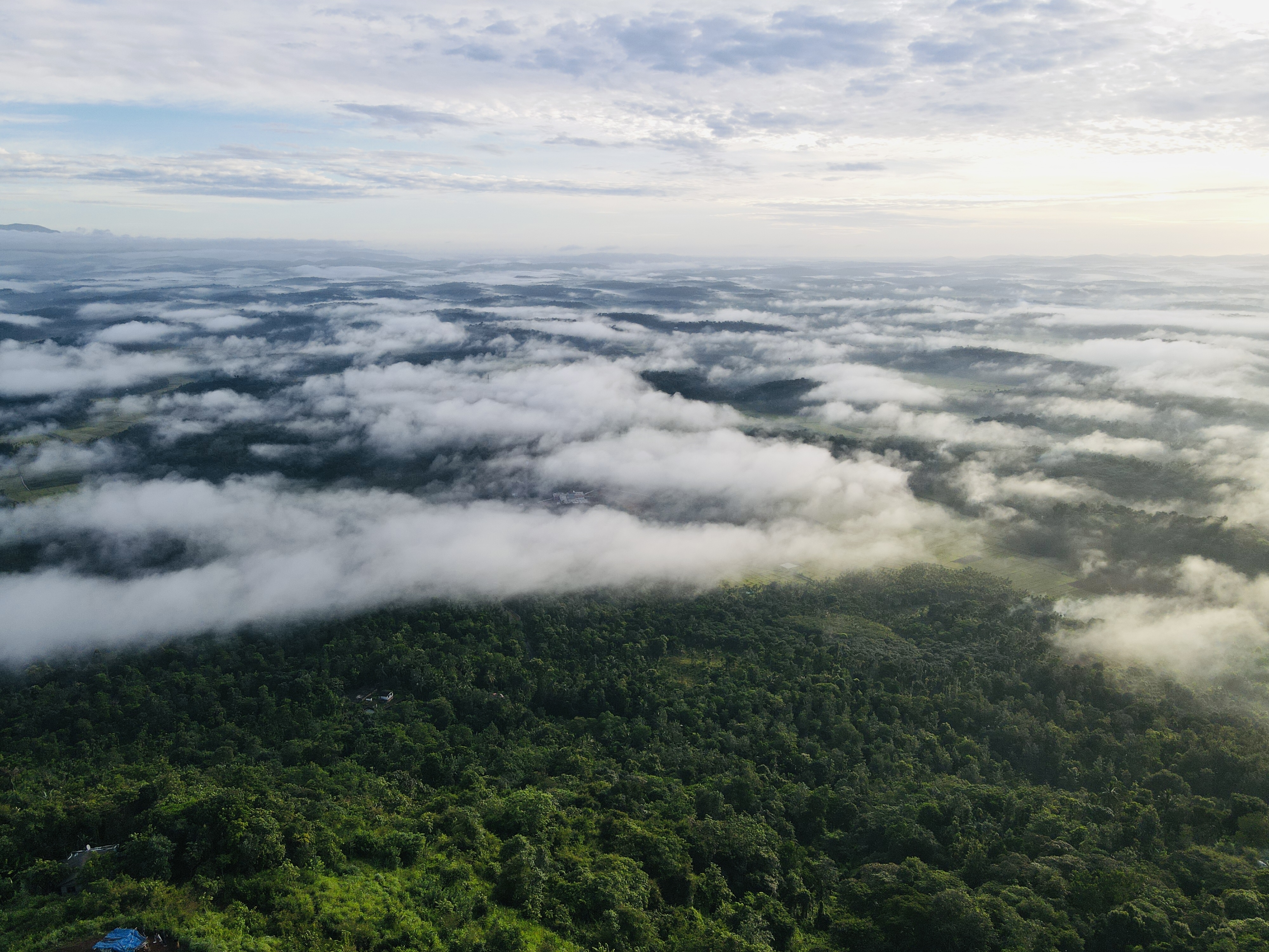 Western Ghats mist aerial