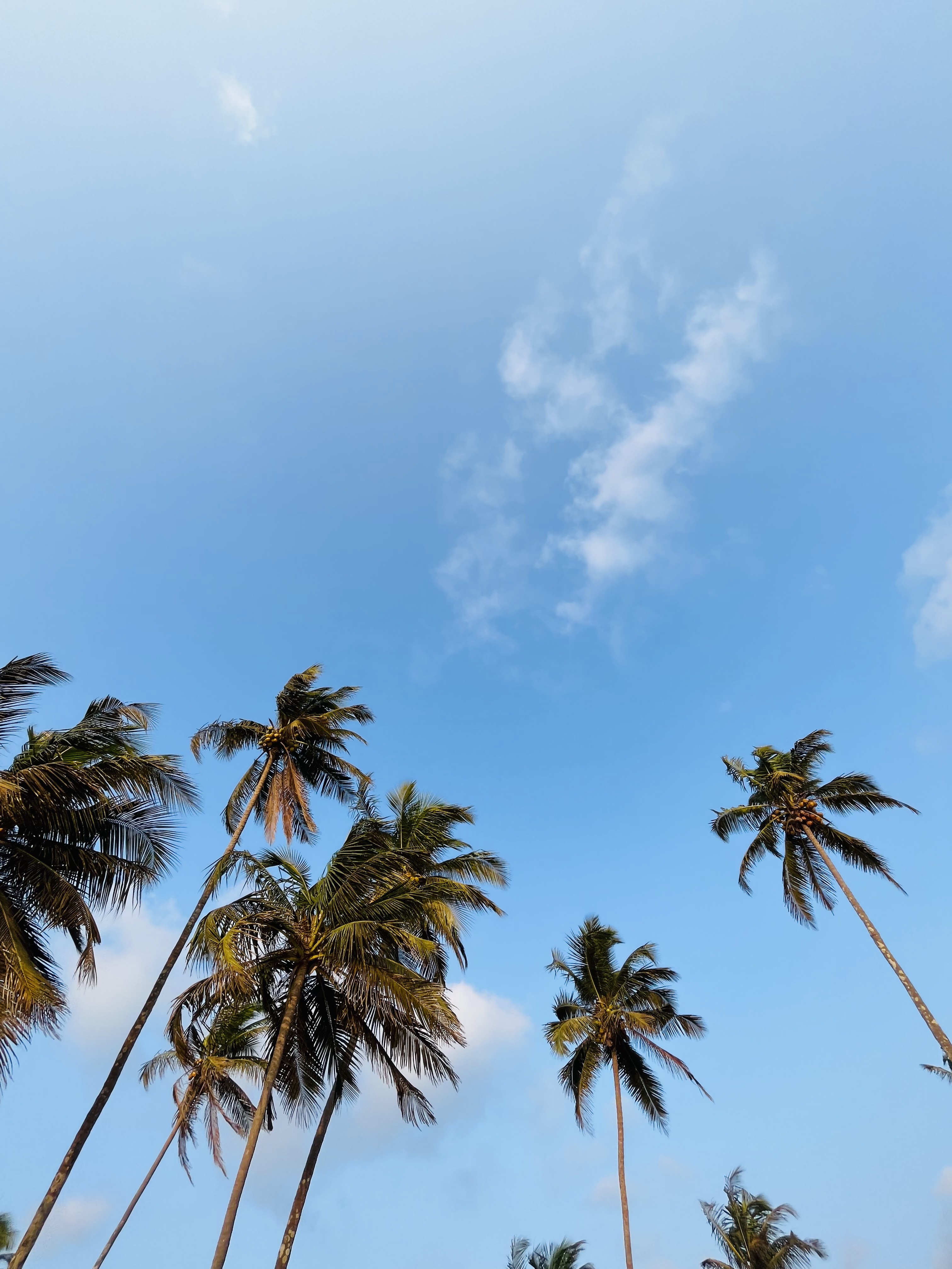 Coastal Karnataka landscape